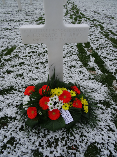 One of the Unknown Soliders of WWI